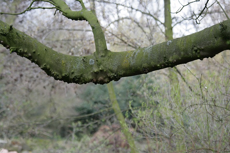 Fotoclubje Blijdorp 2008-50.jpg